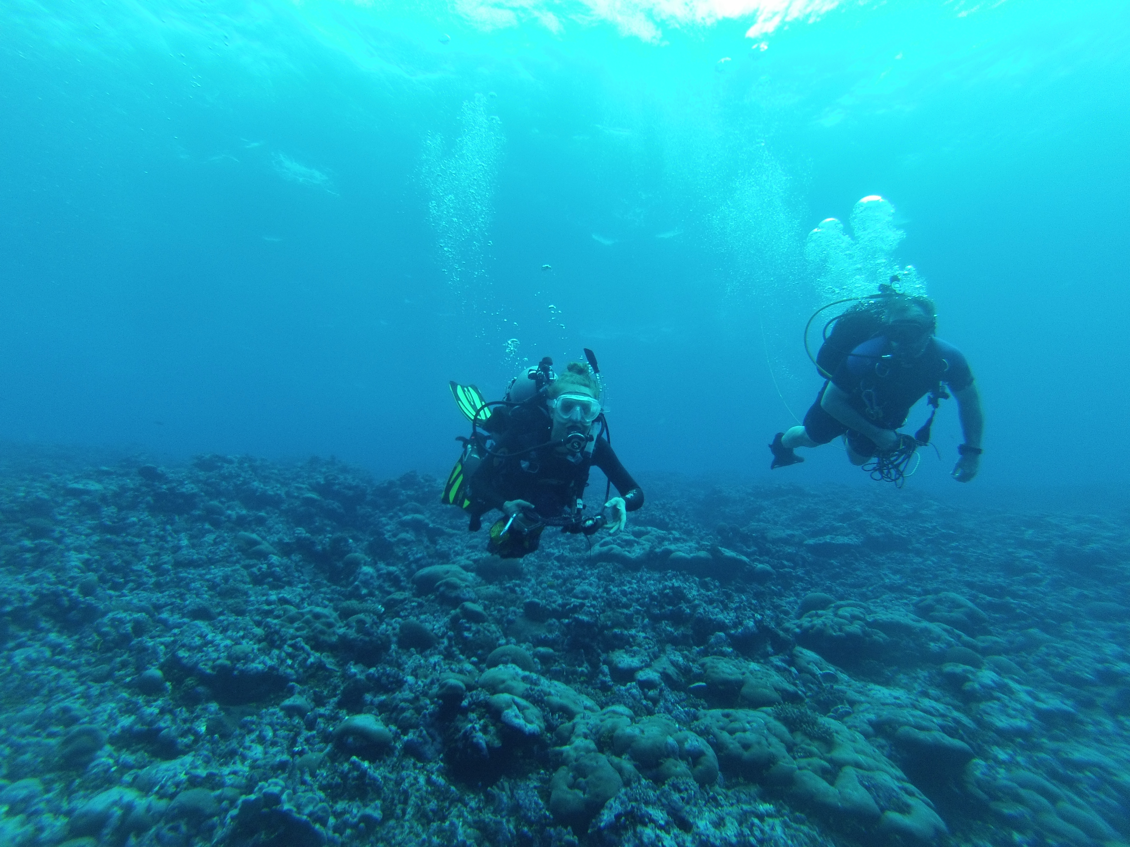 Conservation Oceanography & Engineering